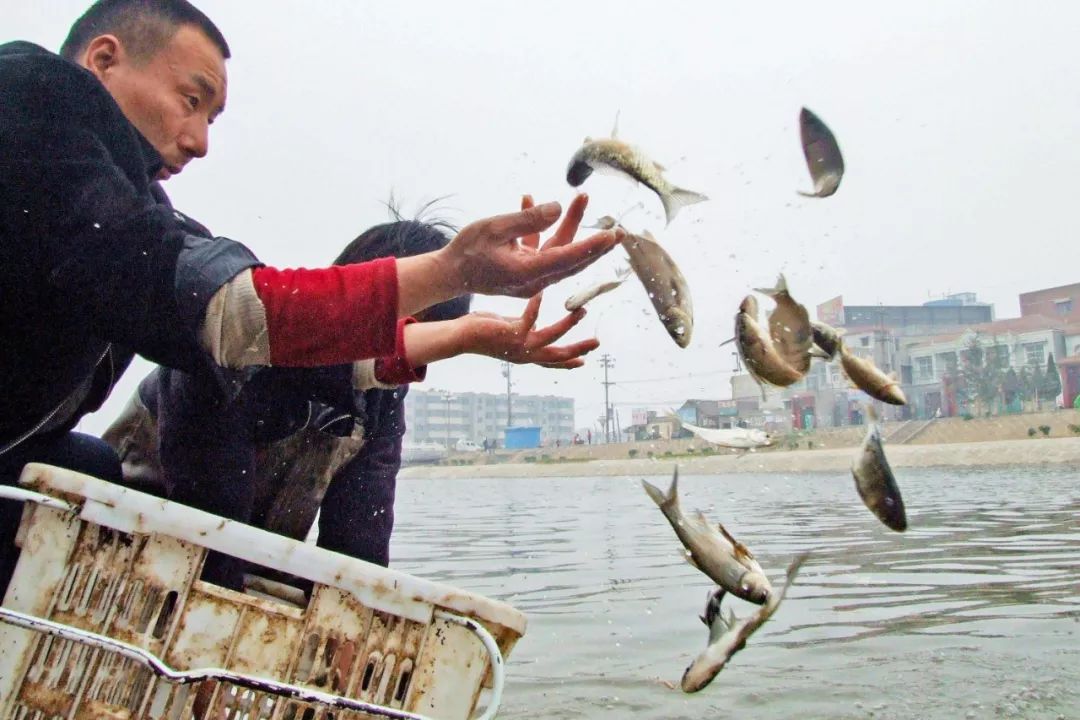 水产养殖效益_水产养殖致富经_水产养殖致富吗