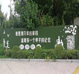优质课老师经验分享稿_优质课经验材料_优质课获奖经验发言稿题目