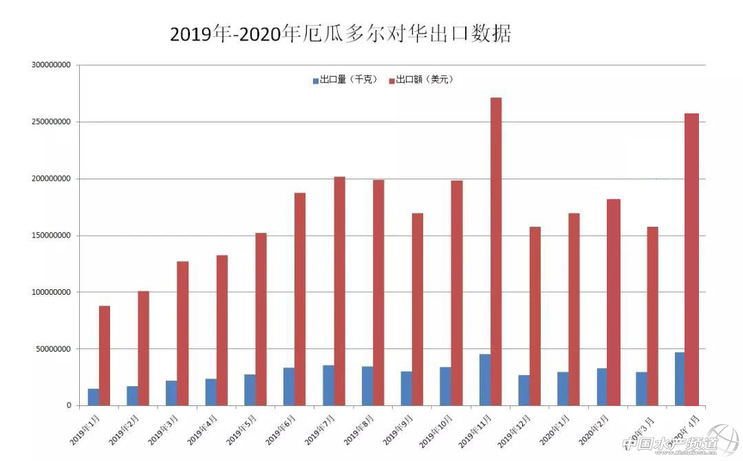 大白虾养殖技术视频_白虾大虾养殖技术_白虾养殖