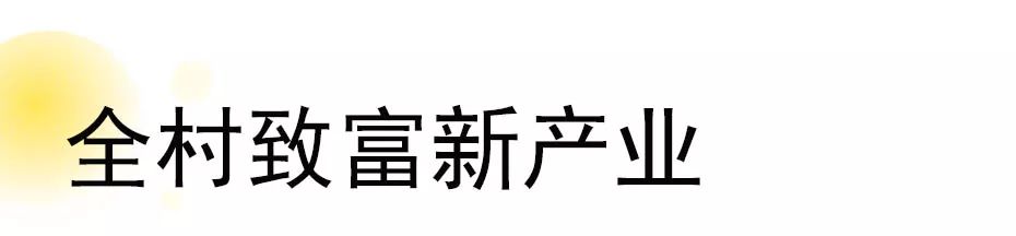 肉鸽子养殖致富_养鸽子致富经_养鸽子致富视频全集