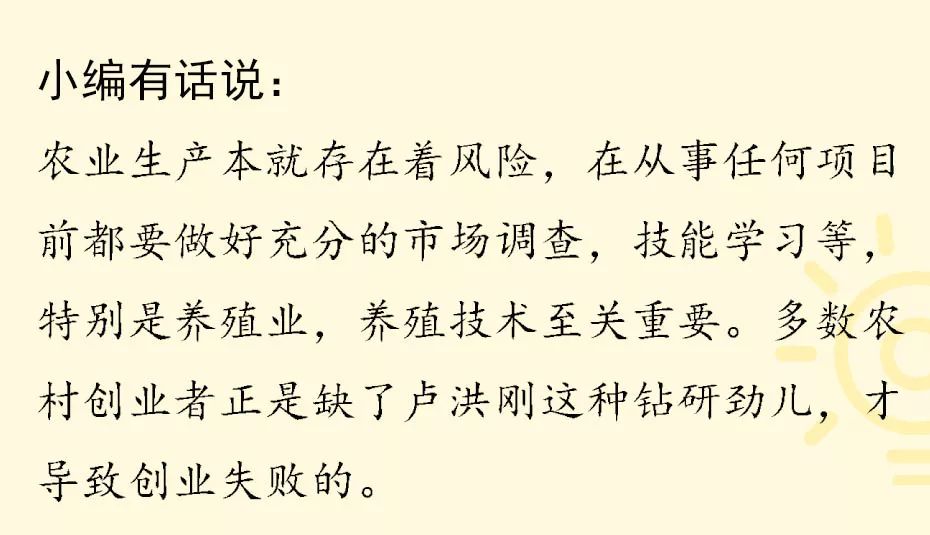 养鸽子致富经_肉鸽子养殖致富_养鸽子致富视频全集