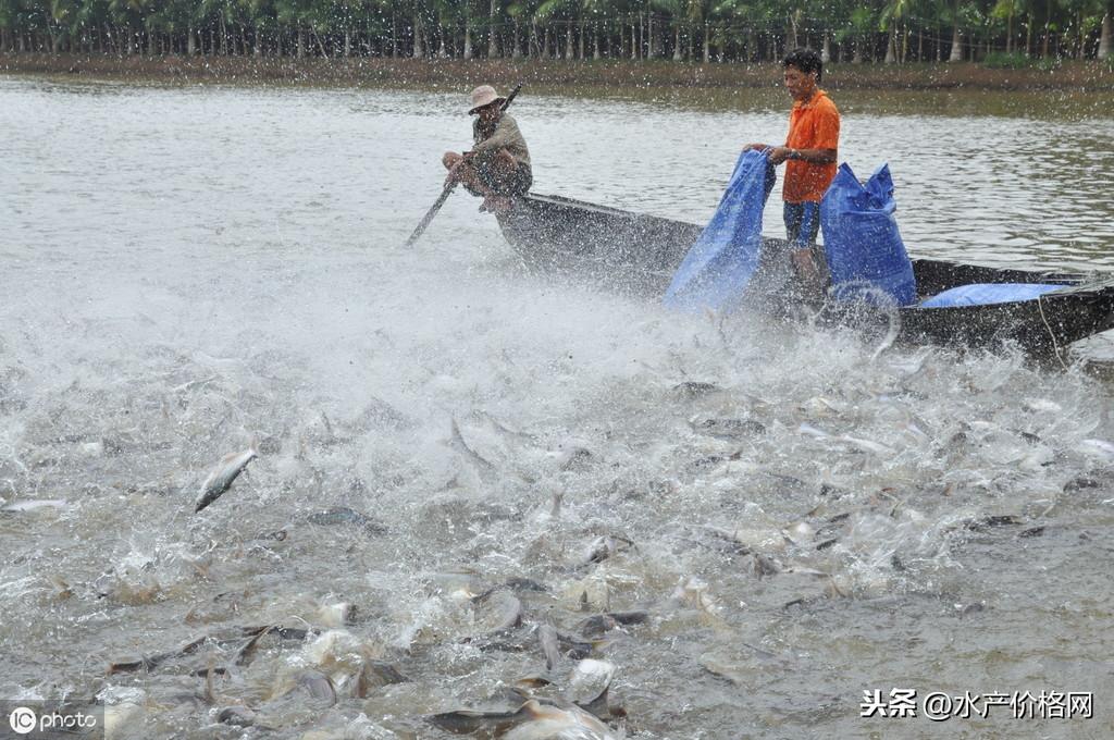 水产养殖效益_水产养殖赚钱_水产养殖致富吗