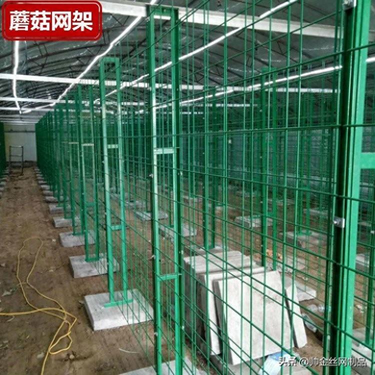 菌菇养殖不锈钢网片、温室大棚蘑菇架硬度高，承重好，施工快速