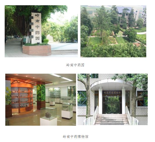 各种药材种植技术_药材种植技术指导_药材种植技术大全