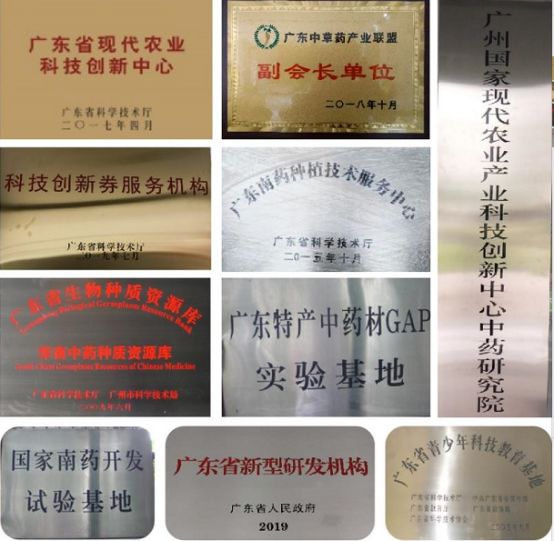 各种药材种植技术_药材种植技术指导_药材种植技术大全