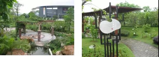 各种药材种植技术_药材种植技术大全_药材种植技术指导