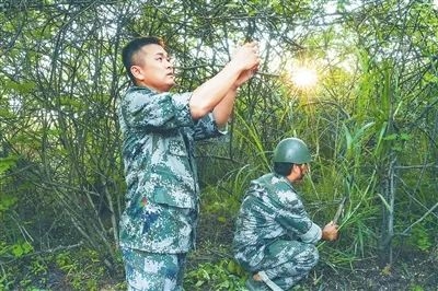 江西农村养殖扶贫项目_江西农村养殖致富_江西农村养殖致富门路