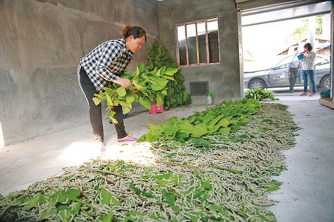 致富经海鸭儋州_儋州李枪杀海头人_儋州海花岛天气预报