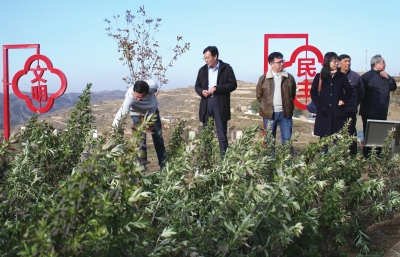 农村种植艾草致富_致富种植艾草农村有补贴吗_在农村种艾草有前景吗