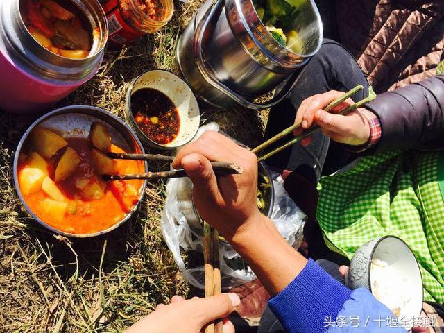 致富经种羊肚菌_致富经羊肚菌李向阳_致富经羊肚菌养殖技术