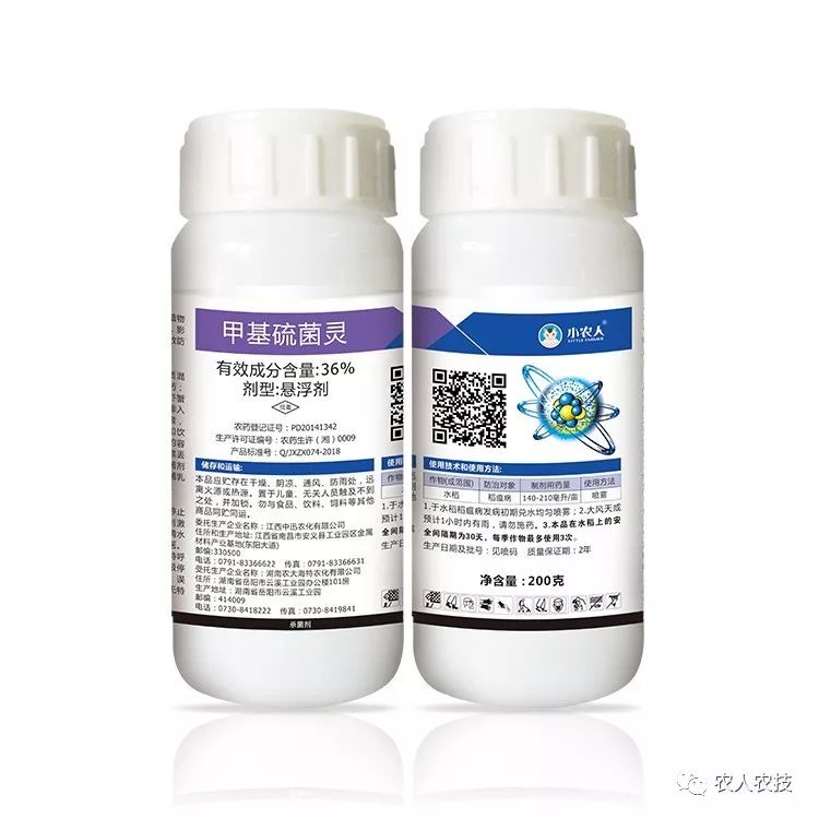 西瓜大棚种植最新技术_西瓜大棚技术_西瓜大棚种植致富