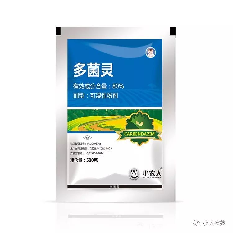 西瓜大棚种植最新技术_西瓜大棚技术_西瓜大棚种植致富