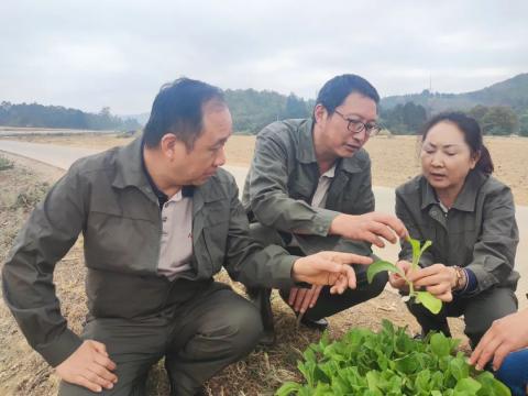 经验分享主题活动_优质经验分享活动_经验分享活动标语