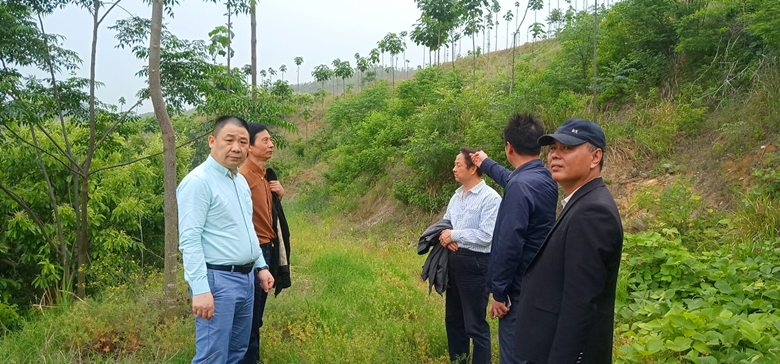 农村种植艾草致富_农村种植艾草赚钱吗_在农村种艾草有前景吗