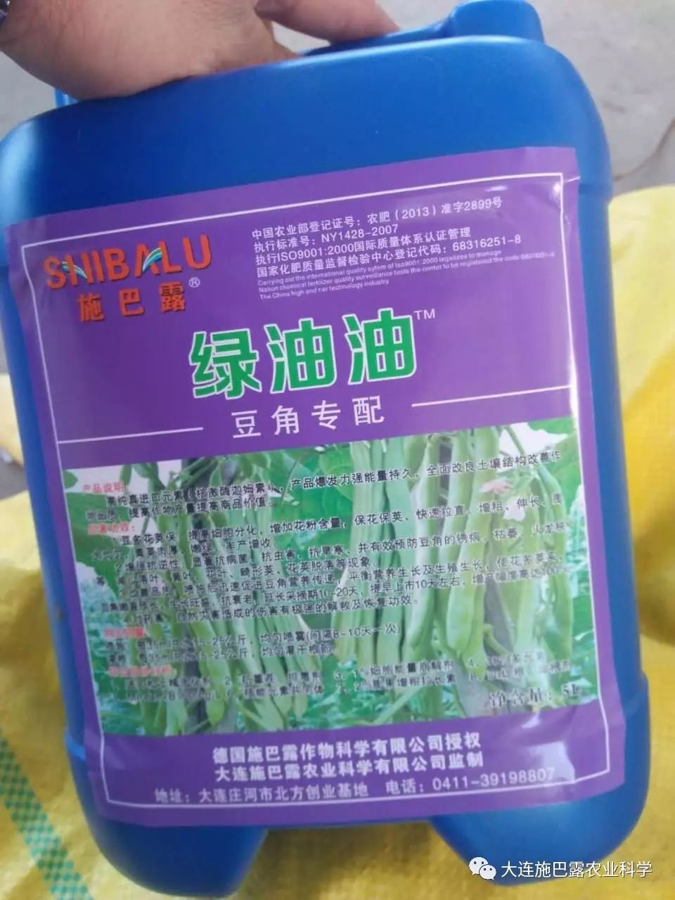 肛豆种植时间_冬季肛豆种植技术_秋肛豆最迟什么时候种