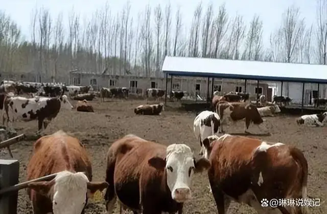 食用蜗牛养殖挣钱吗_致富经蜗牛养殖视频_男子养殖食用蜗牛致富