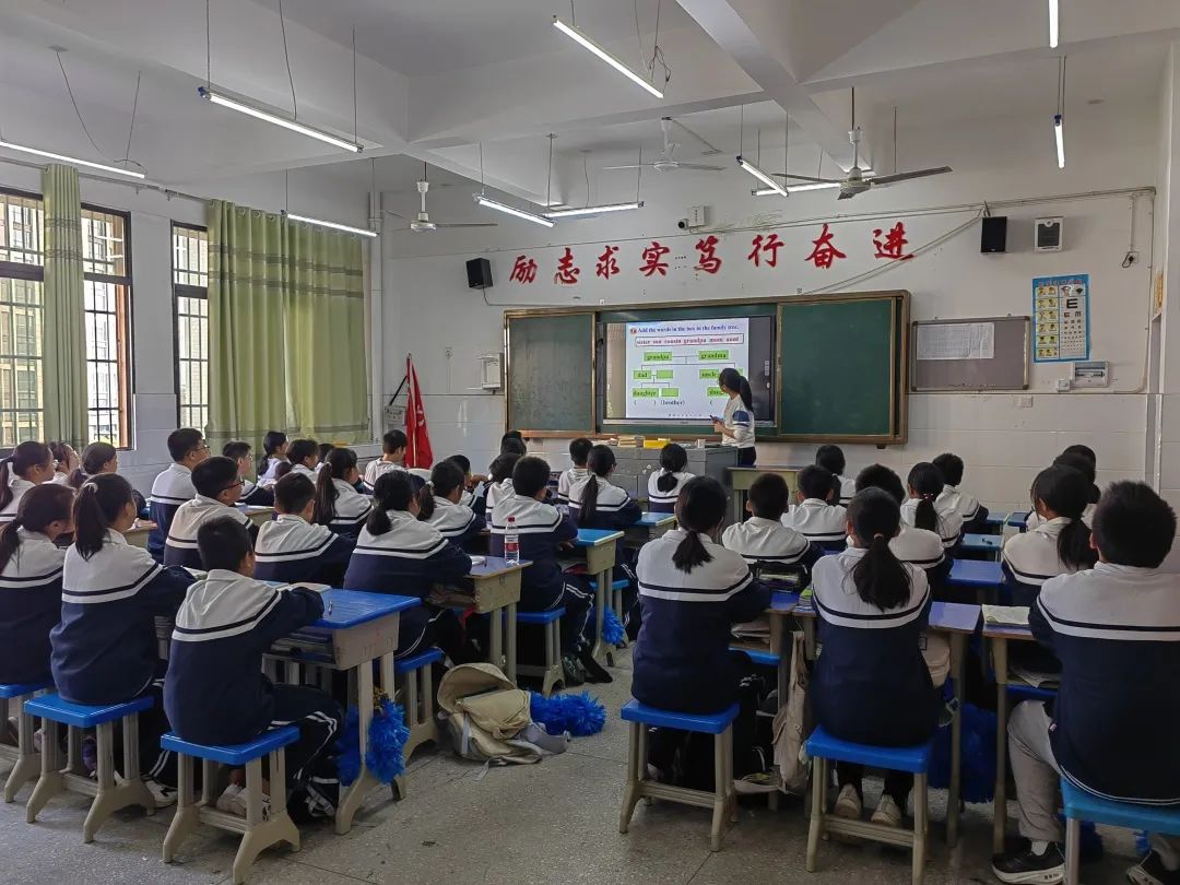 电教优质课学习经验_电教优质课作品特色亮点_电教优质课案例