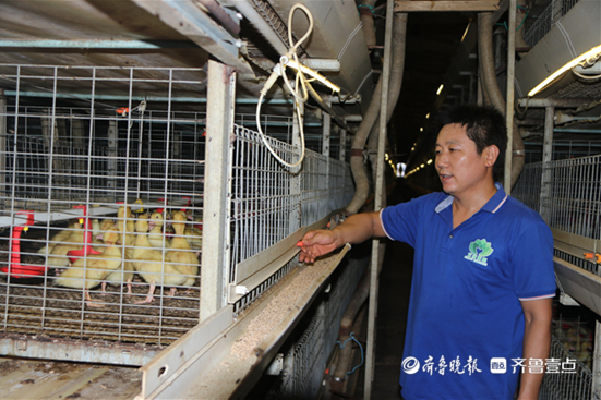 致富经养殖肉鸭视频_养殖肉食鸭的利润成本_养殖肉鸭挣钱吗