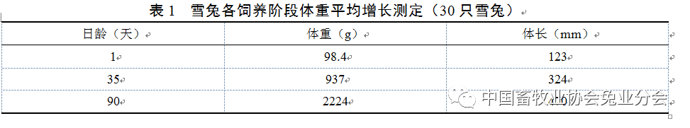 养殖兔子视频教程_兔子养殖技术流程_兔子养殖技术分享