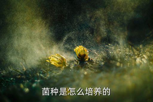 菌种是怎么培养的