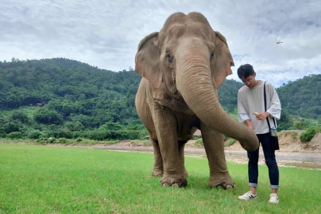 抖音旅游vlog博主_抖音旅游类博主_抖音旅游优质博主经验