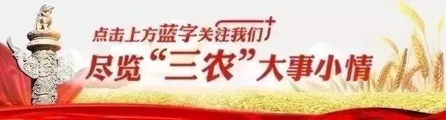 四代手艺人匠心独具潜心刻画 宝坻葫芦村产业为先造福一方