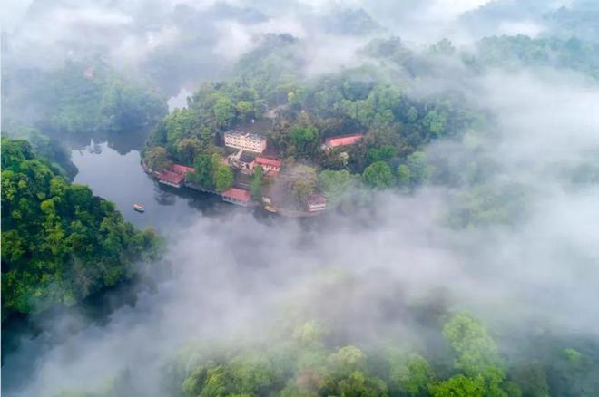 山区种植柑橘的生态效应_柑橘种在山上吗_致富经山上种柑橘