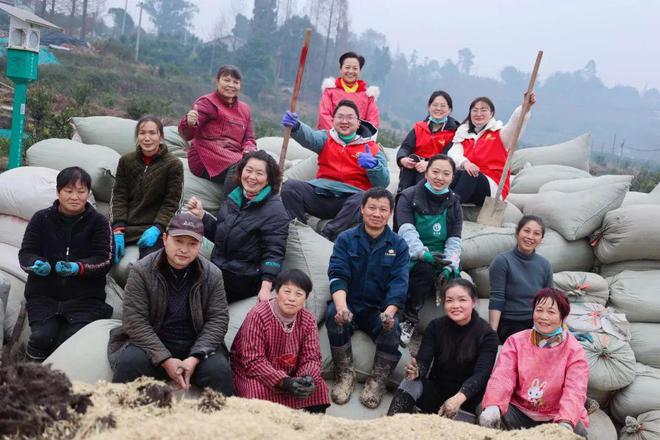 柑橘种在山上吗_致富经山上种柑橘_山区种植柑橘的生态效应