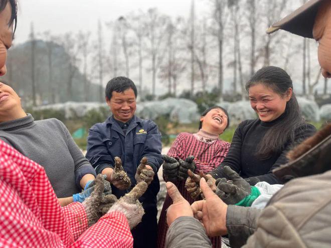 柑橘种在山上吗_致富经山上种柑橘_山区种植柑橘的生态效应