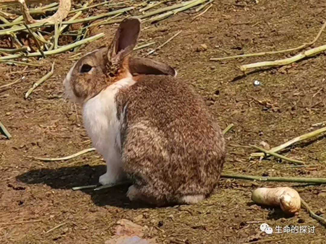 特种养殖还真没那么容易