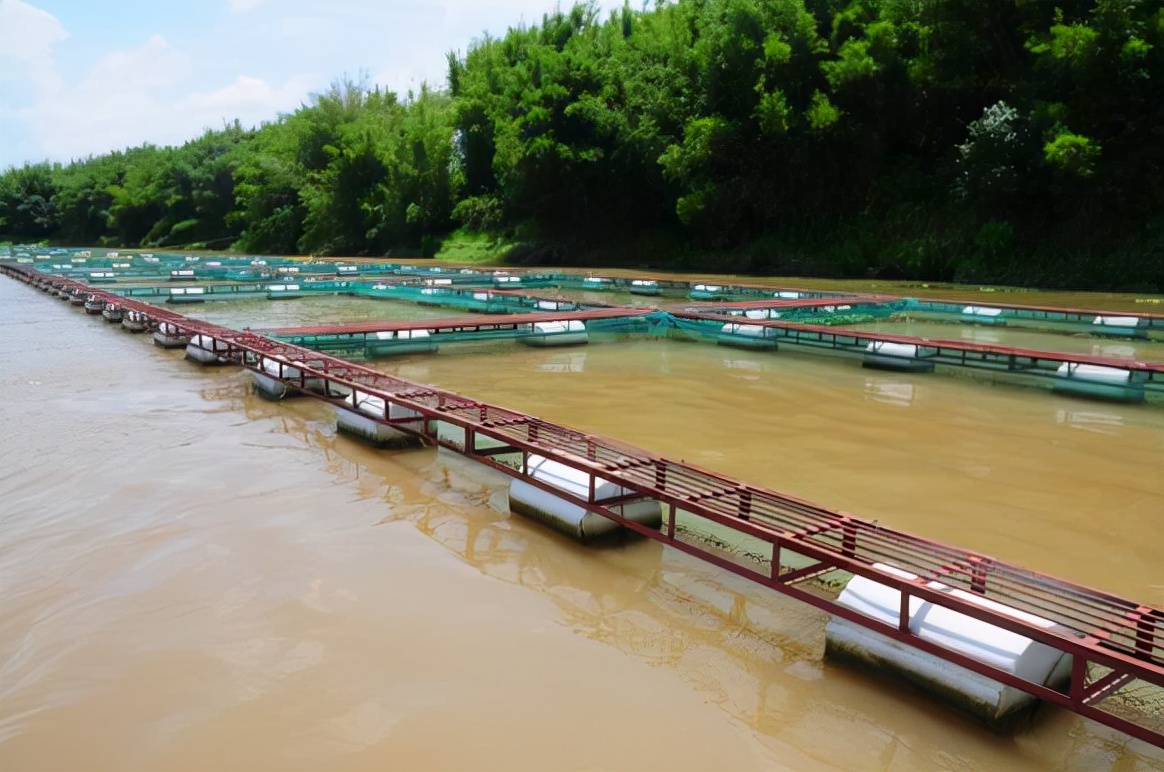 水产养殖致富例子_养殖致富案例_水产养殖致富项目