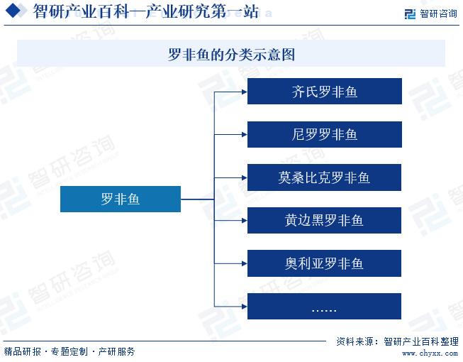 尼罗罗非鱼多少钱一斤_尼罗罗非鱼营养价值_尼罗非鱼养殖技术