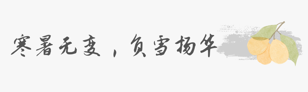 白玉枇杷种子能种出来吗_白玉种植树枇杷技术视频_白玉枇杷树种植技术