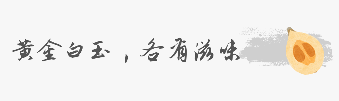 白玉枇杷种子能种出来吗_白玉枇杷树种植技术_白玉种植树枇杷技术视频