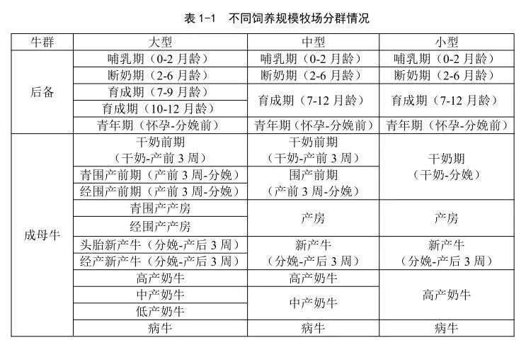 实用乳牛养殖技术 网盘_养牛技术百度网盘_养殖牛百度网盘