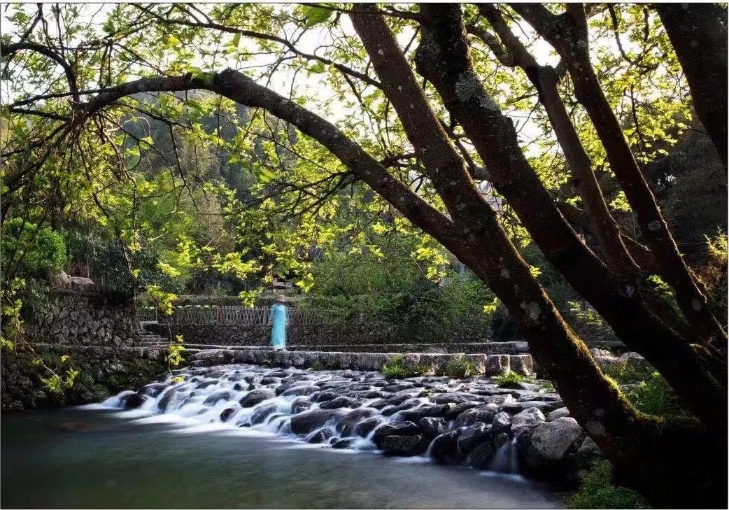 蝴蝶养殖前景_蝴蝶养殖 致富_致富蝴蝶养殖方法