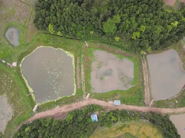 水产养殖业致富项目_水产养殖致富信息_致富养殖项目