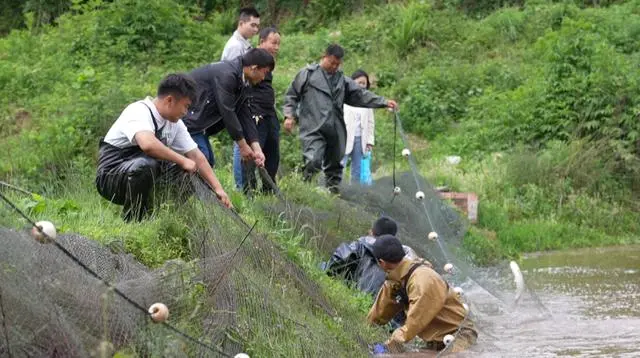 致富养殖项目_水产养殖致富信息_水产养殖业致富项目