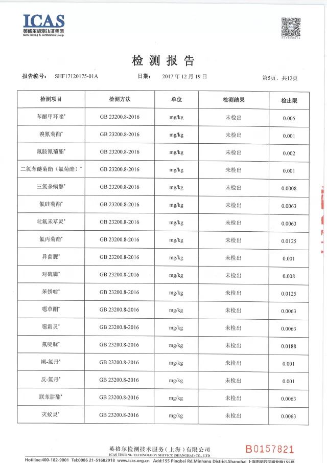 青金桔种子怎么种_种植青金桔技术要点_青金桔种植技术