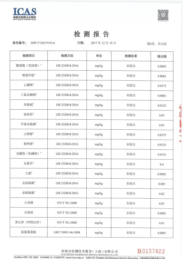 青金桔种子怎么种_青金桔种植技术_种植青金桔技术要点