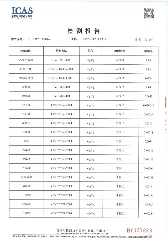 青金桔种植技术_青金桔种子怎么种_种植青金桔技术要点