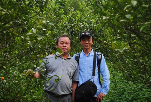 青金桔种子怎么种_青金桔种植技术_种植青金桔技术要点