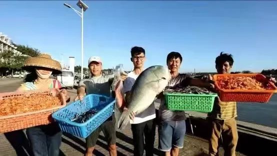 跑海鸭养殖技术_在海边养殖海鸭视频_海里养鸭子