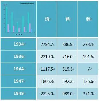 海边养鸭子视频_在海边养殖海鸭视频_跑海鸭养殖技术