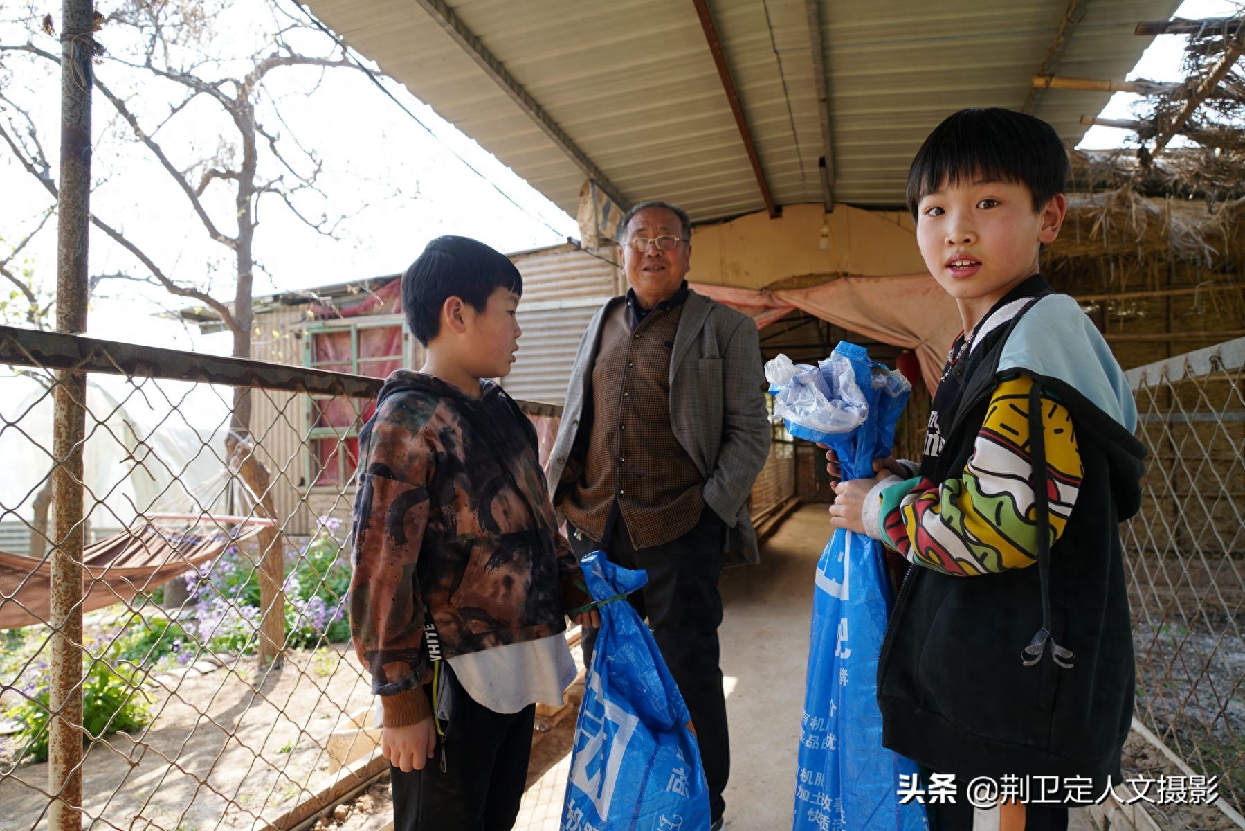 山西农民大哥苹果园里养火鸭，年赚20万元，看看啥情况