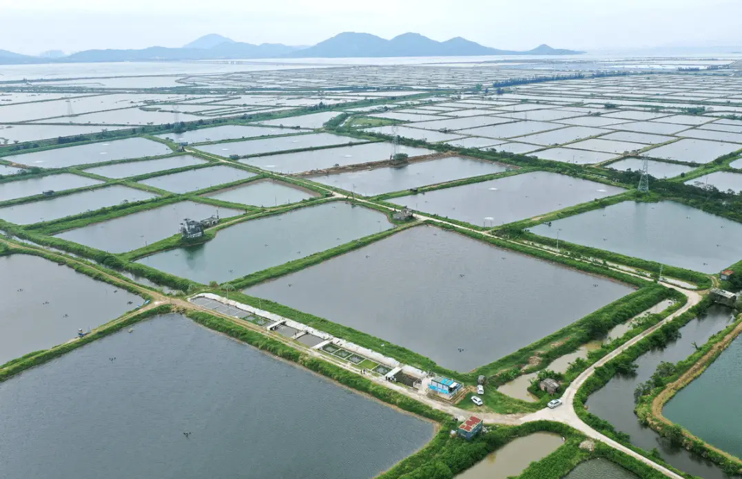 致富经水产养殖_水产养殖致富信息_致富养殖水产信息怎么写