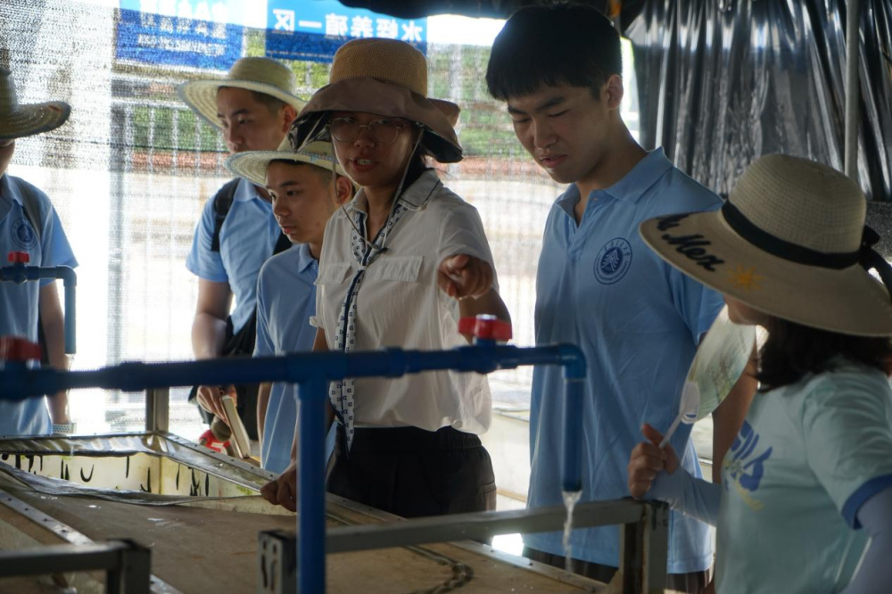 致富经养土元_致富经土狗养殖技术_致富经养土猪