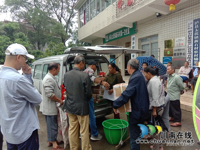 泸县太伏镇大力发展荷兰豆种植助力脱贫攻坚