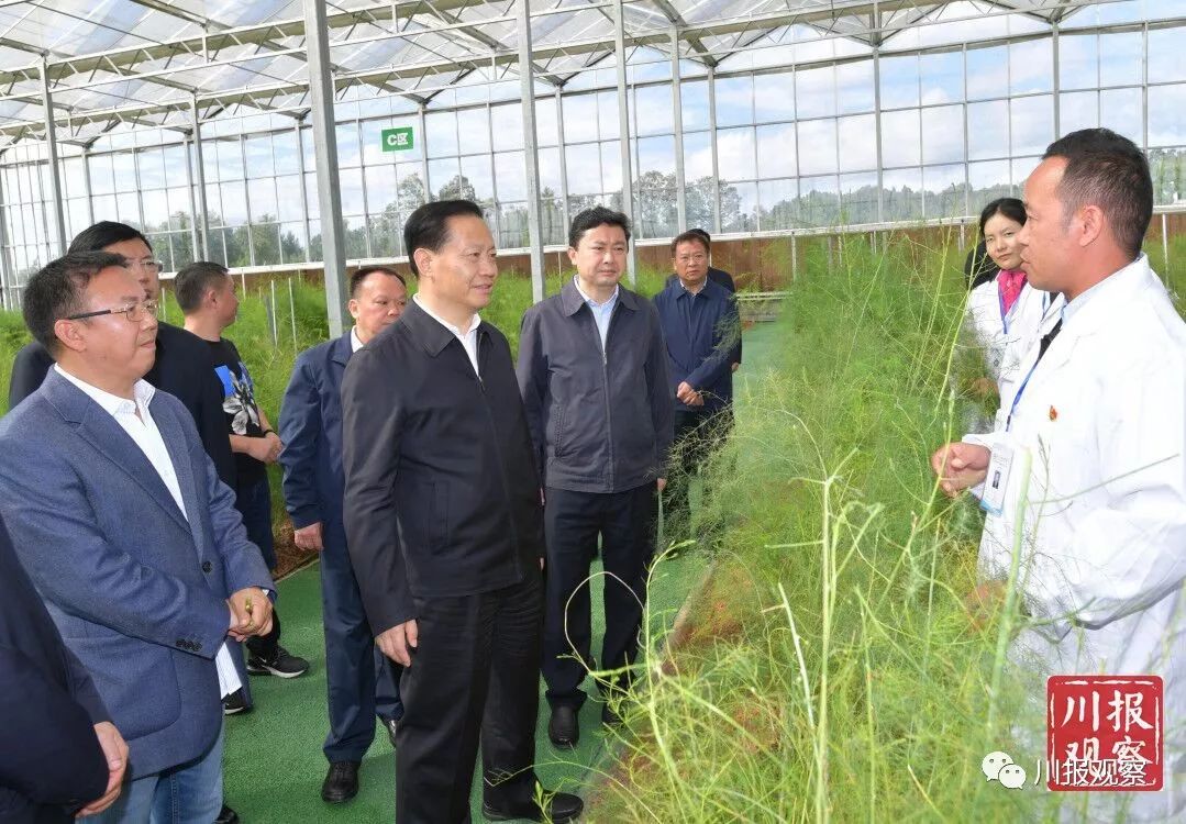 广安种植致富_种植致富农村项目大全_种植致富业