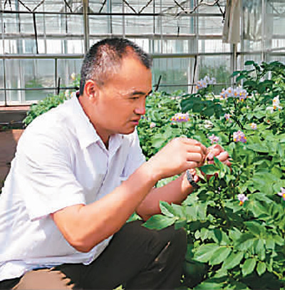 致富经土豆种植视频_致富经怎样让土豆高产_种土豆致富